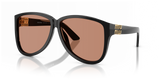 Black / Brown (16K90Q)