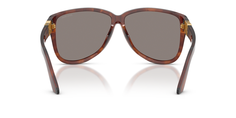 Miu Miu MU A08S in Striped Tobacco - Alternate View