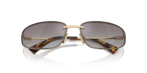 Pale Gold / Gradient Blue Mirror Silver (ZVN30C)