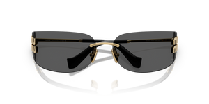 Gold / Dark Grey (5AK5S0)