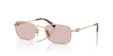 Pale Gold / Pink (ZVN4I0)
