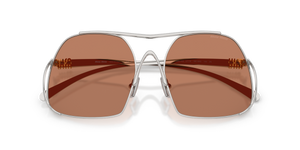Silver / Brown (1BC90Q)