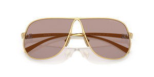 Gold / Light Purple Brown (5AK20I)