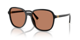 Black / Brown (16K90Q)