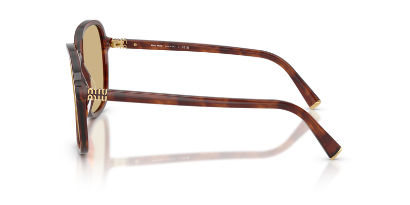 Miu Miu MU B01SF in Striped Tobacco - Alternate View