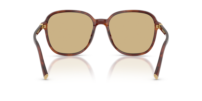 Miu Miu MU B01SF in Striped Tobacco - Alternate View