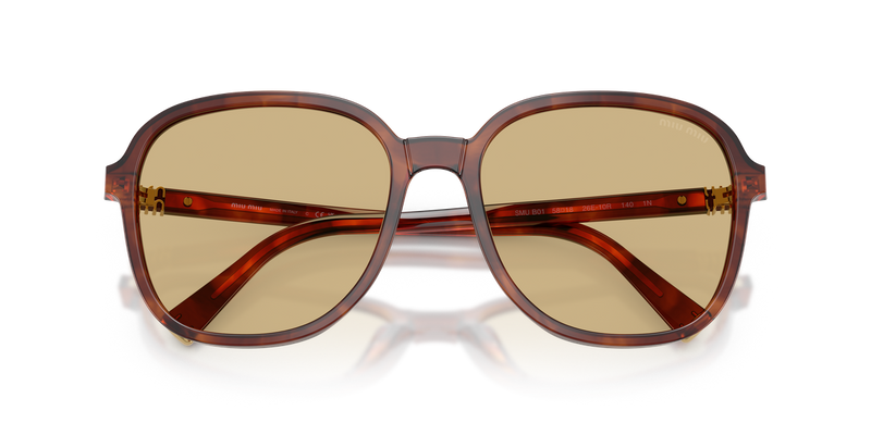 Miu Miu MU B01S in Striped Tobacco - Alternate View