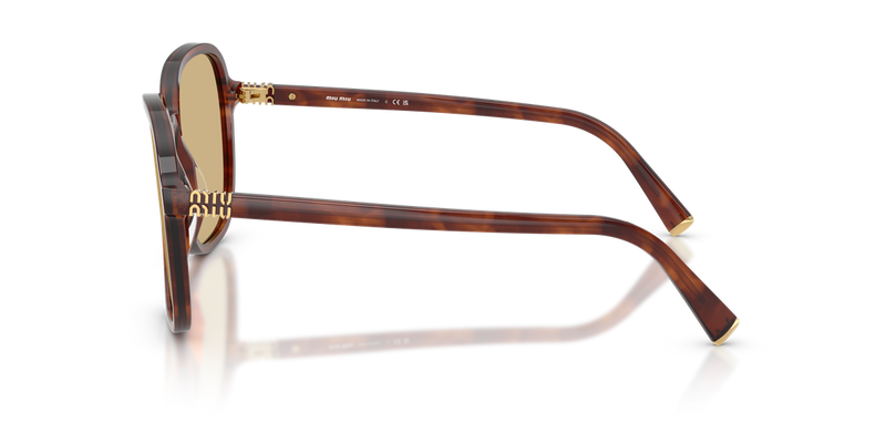 Miu Miu MU B01S in Striped Tobacco - Alternate View