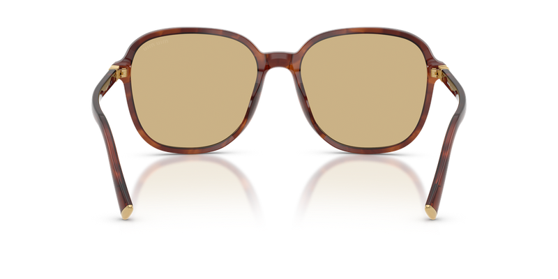 Miu Miu MU B01S in Striped Tobacco - Alternate View