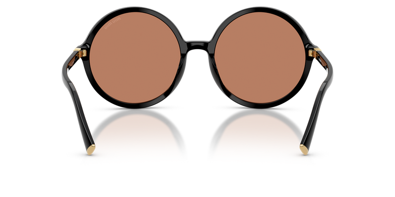 Miu Miu MU B02SF in Black - Temple Detail