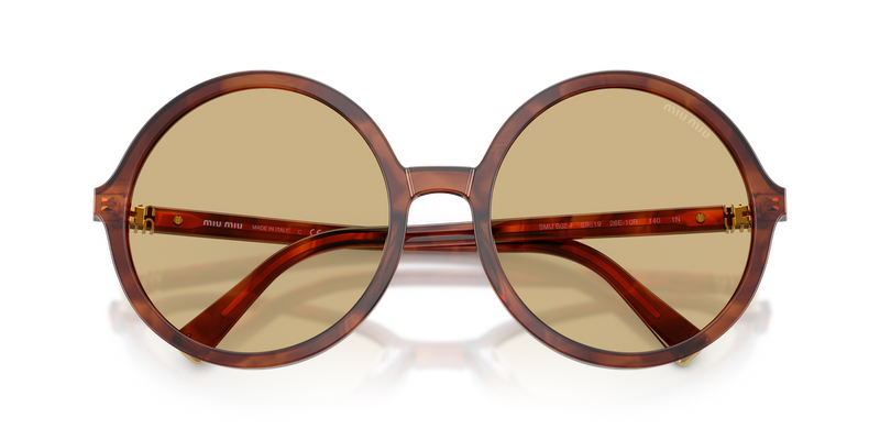 Miu Miu MU B02SF in Striped Tobacco - Alternate View