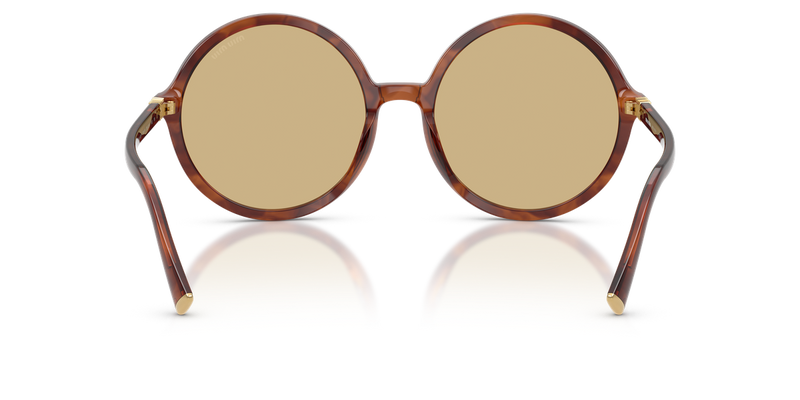 Miu Miu MU B02SF in Striped Tobacco - Alternate View