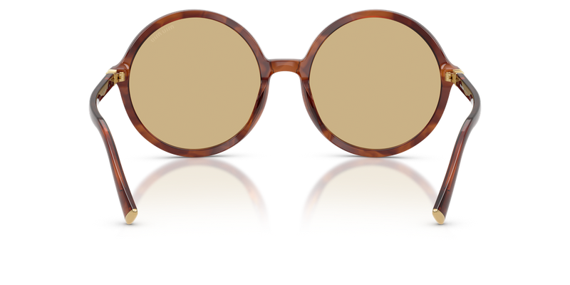 Miu Miu MU B02S in Striped Tobacco - Alternate View