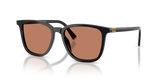 Black / Brown (16K90Q)