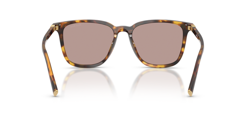 Miu Miu MU B03S in Honey Havana - Temple Detail