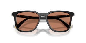 Black / Brown (16K90Q)