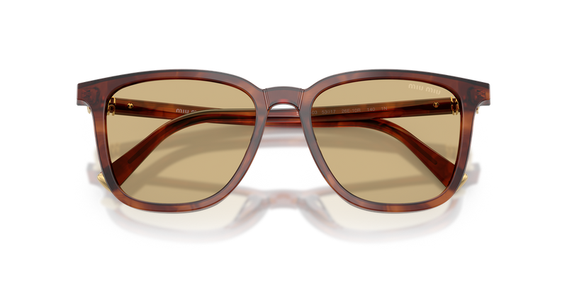 Miu Miu MU B03S in Striped Tobacco - Alternate View