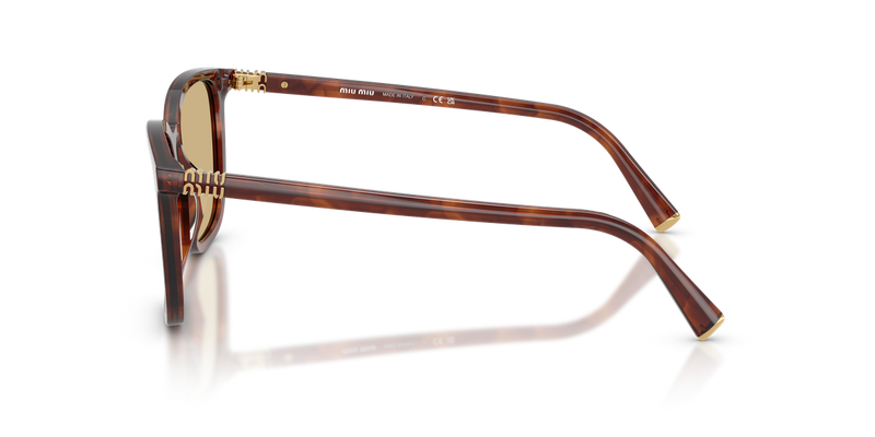 Miu Miu MU B03S in Striped Tobacco - Alternate View