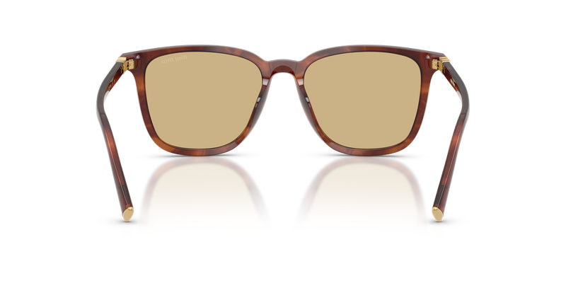 Miu Miu MU B03S in Striped Tobacco - Alternate View