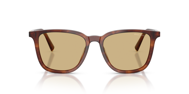 Miu Miu MU B03S in Striped Tobacco - Alternate View