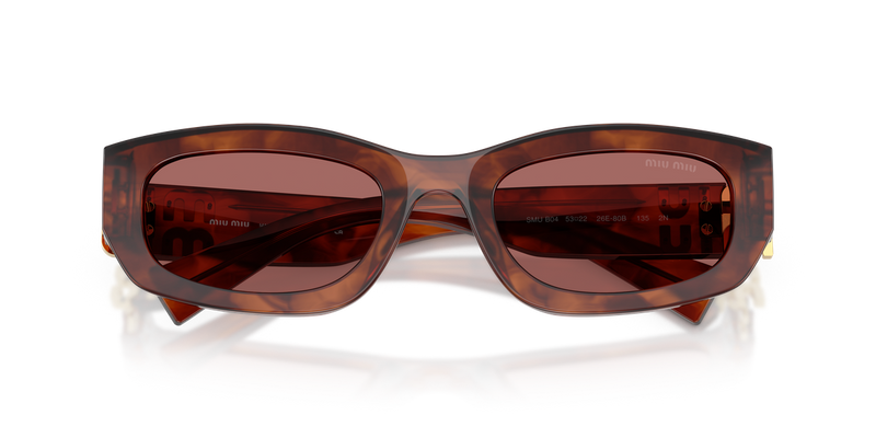 Miu Miu MU B04S in Striped Tobacco - Alternate View