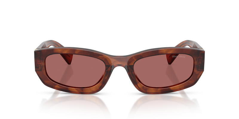 Miu Miu MU B04S in Striped Tobacco - Alternate View
