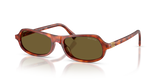 Havana Cognac / Dark Brown (11P09Z)
