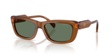 Amber / Dark Green (22I70L)