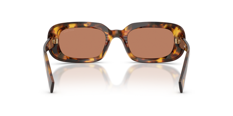 Miu Miu MU B13S in Honey Havana - Alternate View