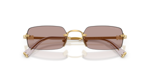 Gold / Light Purple Brown (5AK20I)