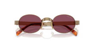 Brass / Dark Violet (7OE30Y)