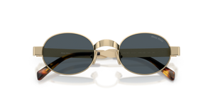 Pale Gold / Dark Grey (ZVN70B)