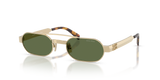 Pale Gold / Dark Green (ZVN71A)