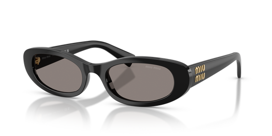 Miu Miu MU C02S - Black / Dark Grey (1AB80Q)