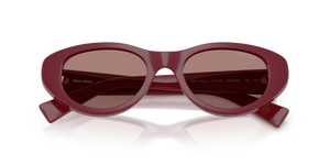 Bordeaux / Light Brown (25R60B)