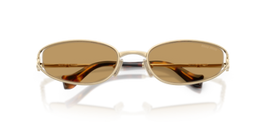 Pale Gold / Brown (ZVN10Y)