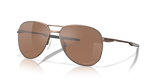 Satin Toast / Prizm Tungsten Polarized (414706)