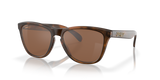 Matte Tortoise / Prizm Tungsten (9013C5)