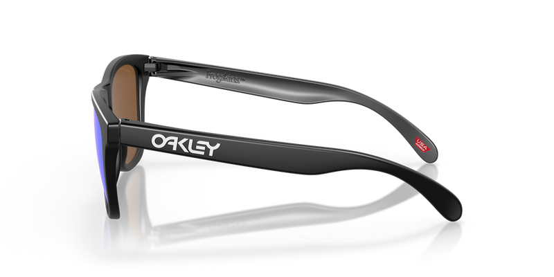 Oakley FROGSKINS in Matte Black - Alternate View