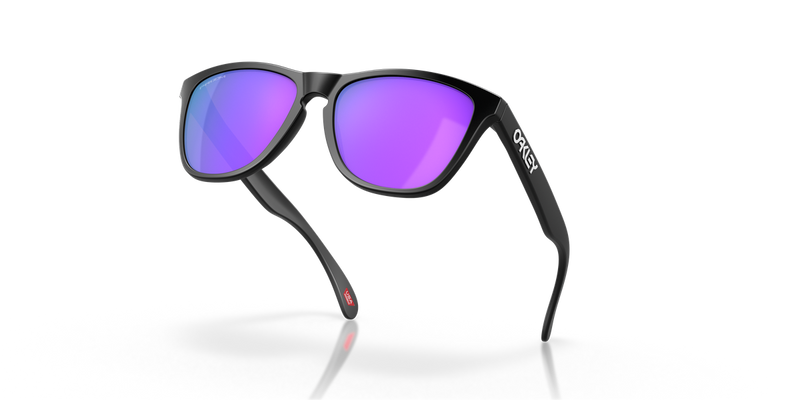 Oakley FROGSKINS in Matte Black - Alternate View