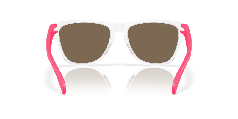 Oakley FROGSKINS in Clear - Temple Detail