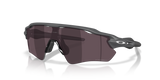 Matte Carbon / Prizm Transitions Black (9208G9)