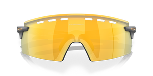 Matte Carbon / Prizm 24K (923506)
