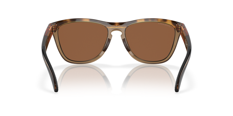 Oakley FROGSKINS RANGE A in Brown Tortoise/Brown Smoke - Alternate View