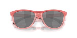 Muted Metallic Paloma / Prizm Black Polarized (928416)