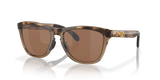 Brown Tortoise/Brown Smoke / Prizm Tungsten Polarized (928407)