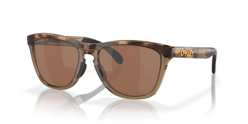 Oakley FROGSKINS RANGE in Brown Tortoise/Brown Smoke / Prizm Tungsten Polarized (928407) - Alternate View