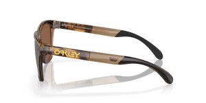 Brown Tortoise/Brown Smoke / Prizm Tungsten Polarized (928407)