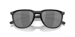 Matte Black / Prizm Black Polarized (928602)