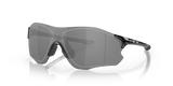 Polished Black / Prizm Black Polarized (931323)
